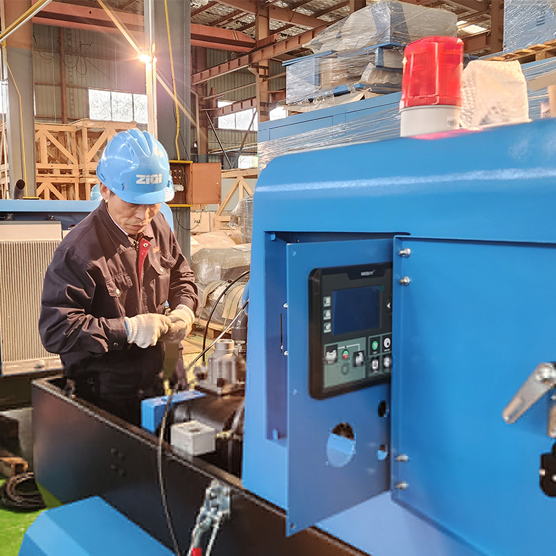 Diesel Portable Screw Air Compressor